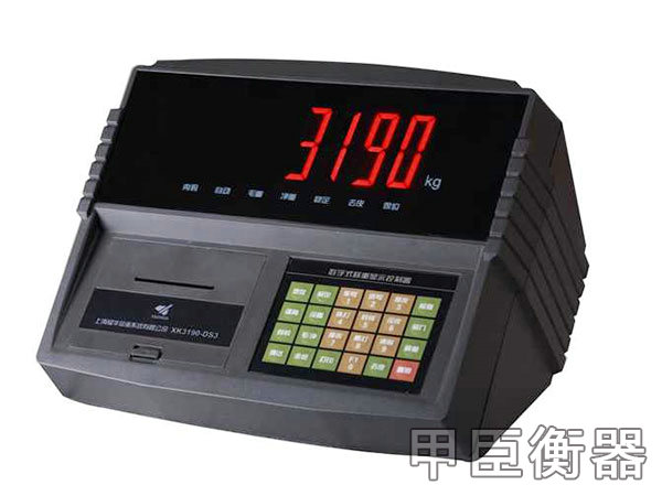 A9带打印汽车衡仪表