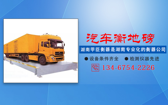 湖南甲臣衡器有限公司_长沙DS9仪表销售|称重传感器销售|畜牧秤哪里好